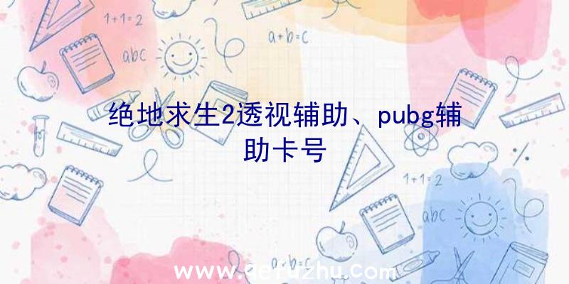 绝地求生2透视辅助、pubg辅助卡号