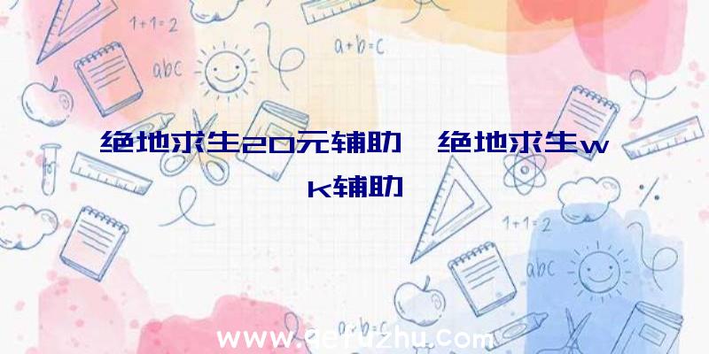 绝地求生20元辅助、绝地求生wk辅助