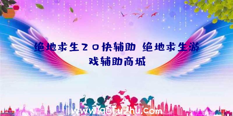 绝地求生20快辅助、绝地求生游戏辅助商城