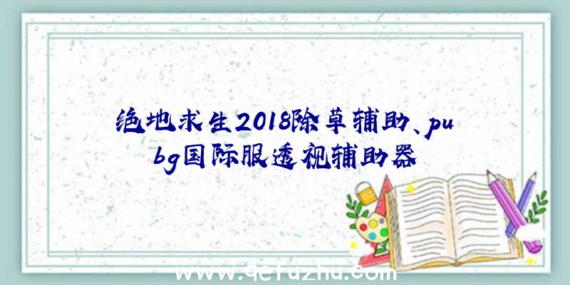 绝地求生2018除草辅助、pubg国际服透视辅助器