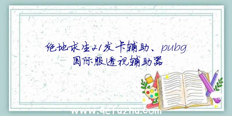 绝地求生21发卡辅助、pubg国际服透视辅助器