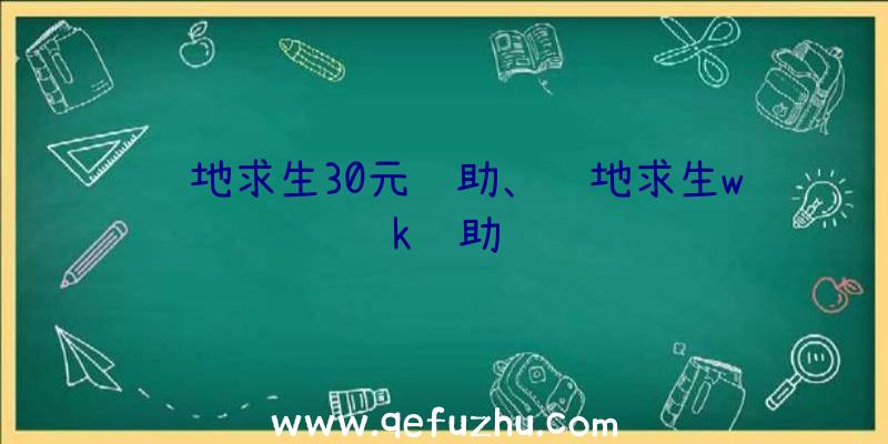 绝地求生30元辅助、绝地求生wk辅助