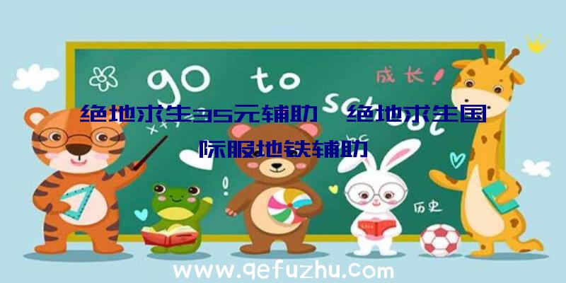 绝地求生35元辅助、绝地求生国际服地铁辅助