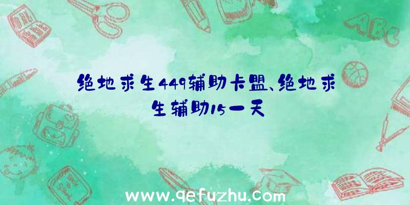 绝地求生449辅助卡盟、绝地求生辅助15一天