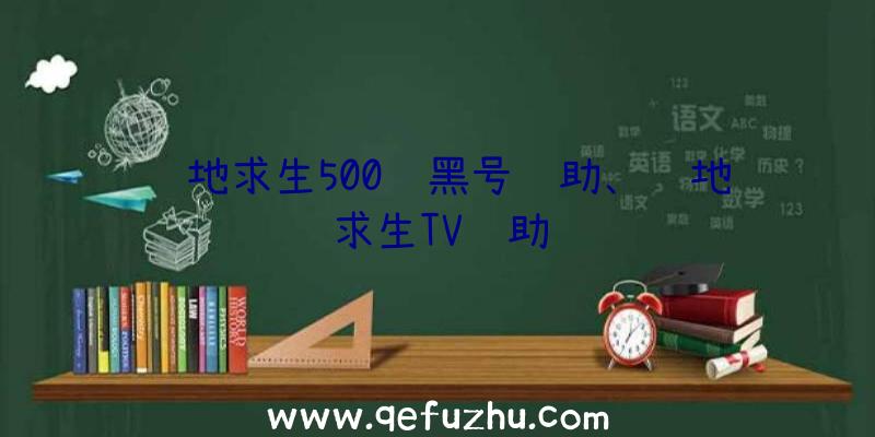 绝地求生500级黑号辅助、绝地求生TV辅助