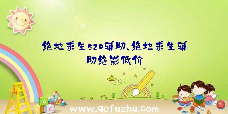 绝地求生520辅助、绝地求生辅助绝影低价