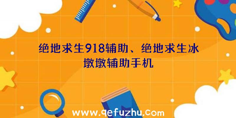 绝地求生918辅助、绝地求生冰墩墩辅助手机