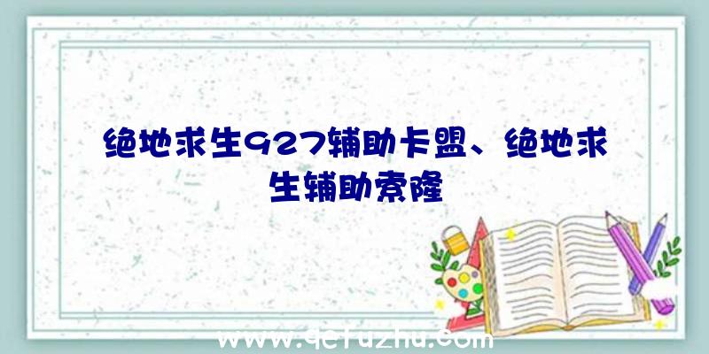 绝地求生927辅助卡盟、绝地求生辅助索隆