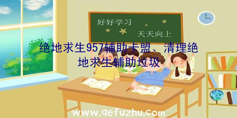 绝地求生957辅助卡盟、清理绝地求生辅助垃圾