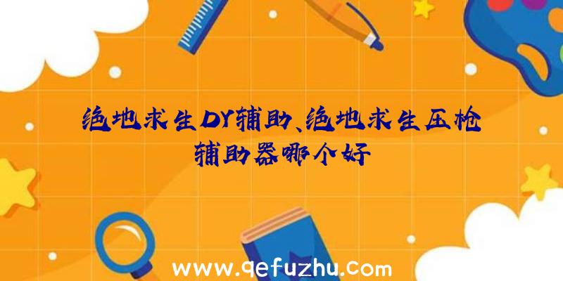 绝地求生DY辅助、绝地求生压枪辅助器哪个好