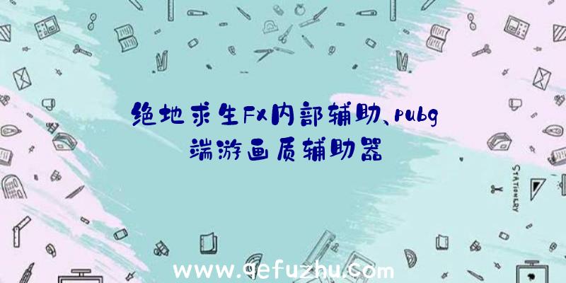 绝地求生Fx内部辅助、pubg端游画质辅助器