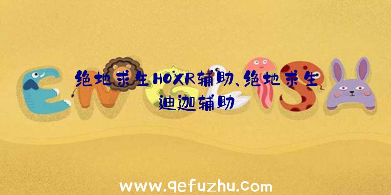 绝地求生HOXR辅助、绝地求生迪迦辅助