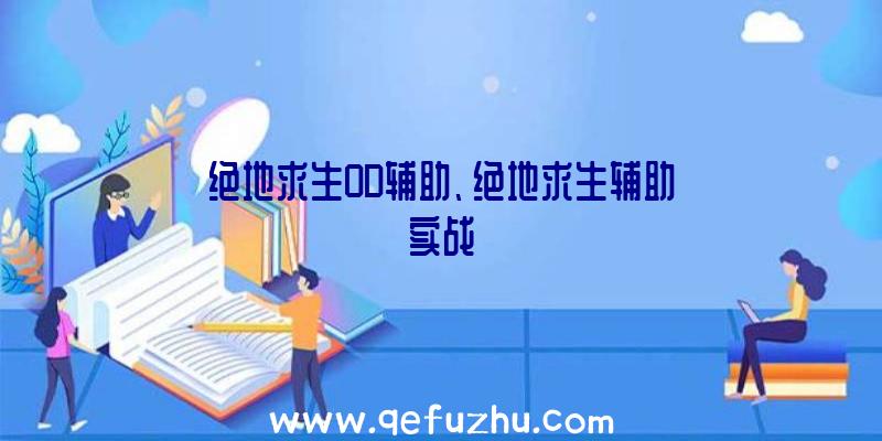 绝地求生OD辅助、绝地求生辅助实战