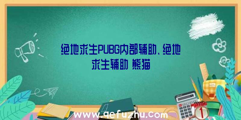 绝地求生PUBG内部辅助、绝地求生辅助