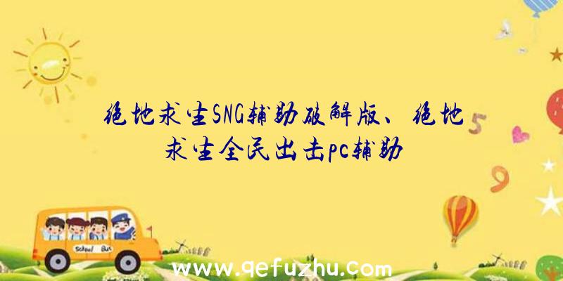 绝地求生SNG辅助破解版、绝地求生全民出击pc辅助