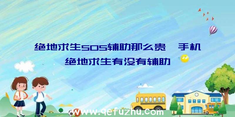 绝地求生SOS辅助那么贵、手机绝地求生有没有辅助