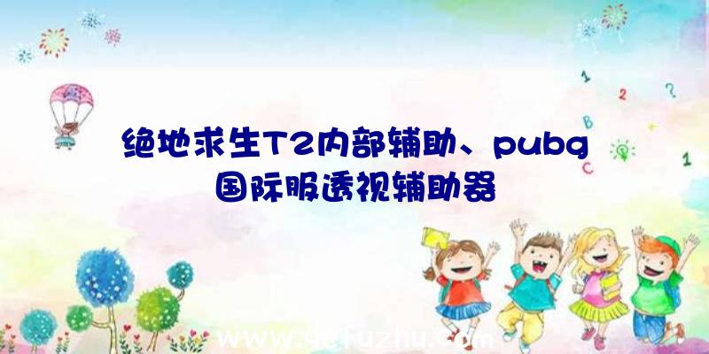 绝地求生T2内部辅助、pubg国际服透视辅助器