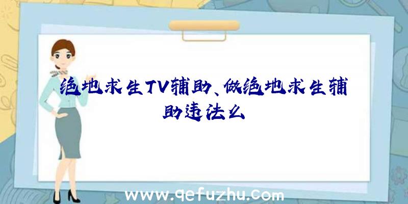 绝地求生TV辅助、做绝地求生辅助违法么