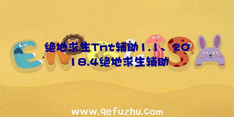 绝地求生Tnt辅助1.1、2018.4绝地求生辅助