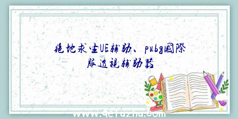 绝地求生UE辅助、pubg国际服透视辅助器