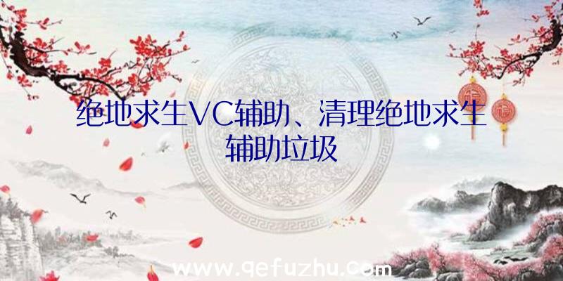 绝地求生VC辅助、清理绝地求生辅助垃圾