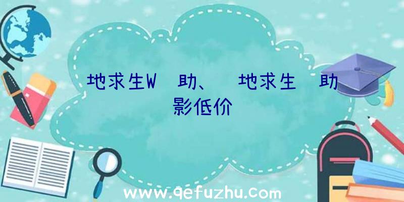 绝地求生W辅助、绝地求生辅助绝影低价