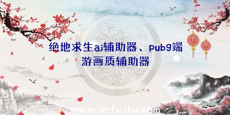 绝地求生aj辅助器、pubg端游画质辅助器