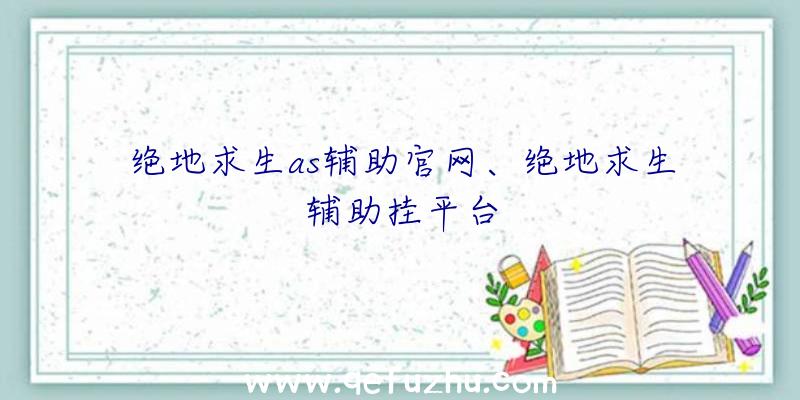 绝地求生as辅助官网、绝地求生辅助挂平台