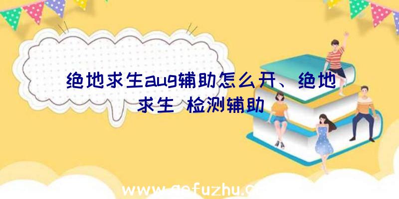 绝地求生aug辅助怎么开、绝地求生