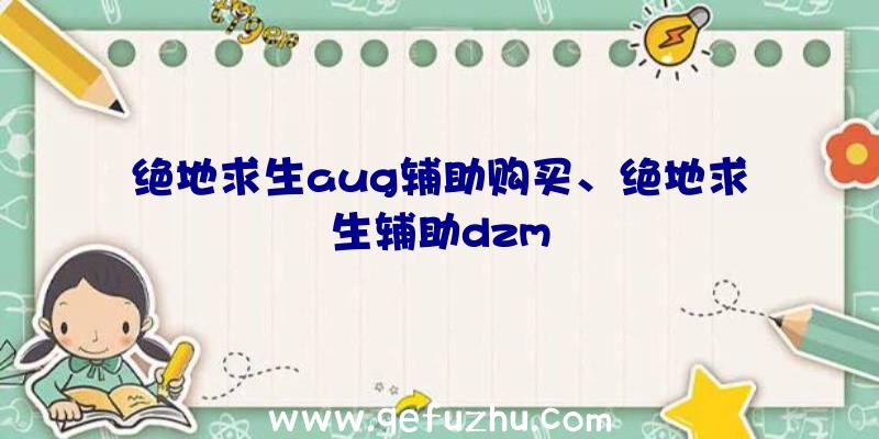 绝地求生aug辅助购买、绝地求生辅助dzm