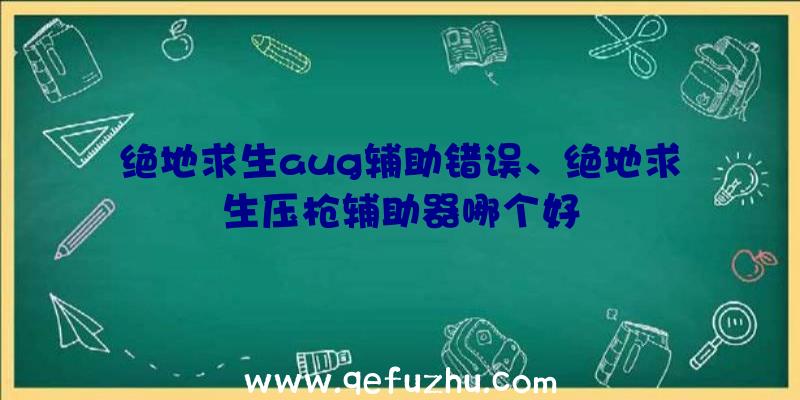 绝地求生aug辅助错误、绝地求生压枪辅助器哪个好