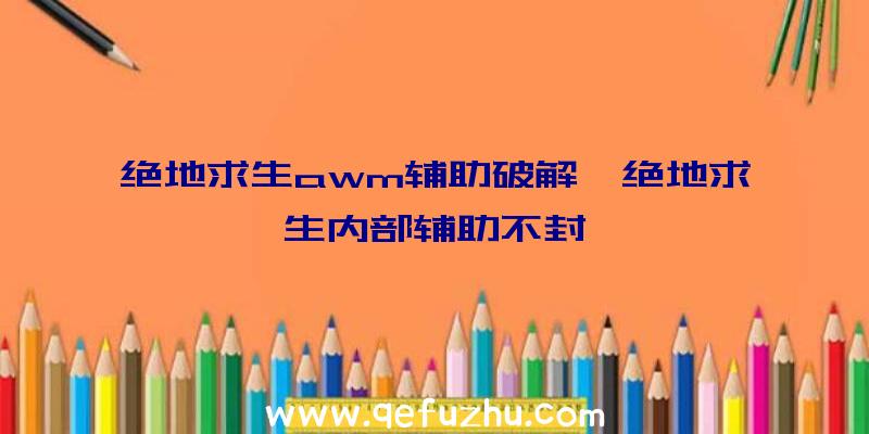 绝地求生awm辅助破解、绝地求生内部辅助不封