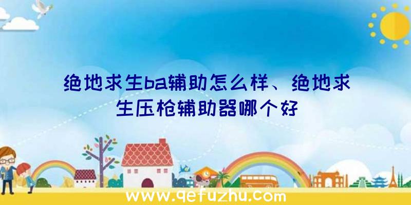 绝地求生ba辅助怎么样、绝地求生压枪辅助器哪个好