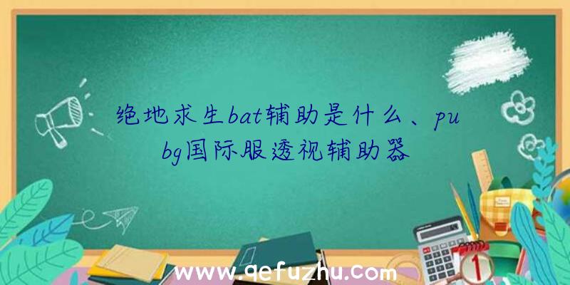 绝地求生bat辅助是什么、pubg国际服透视辅助器