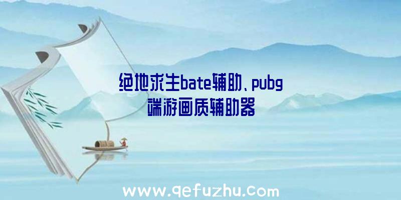 绝地求生bate辅助、pubg端游画质辅助器