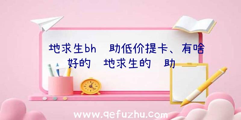 绝地求生bh辅助低价提卡、有啥好的绝地求生的辅助