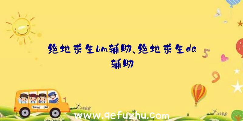 绝地求生bm辅助、绝地求生da辅助