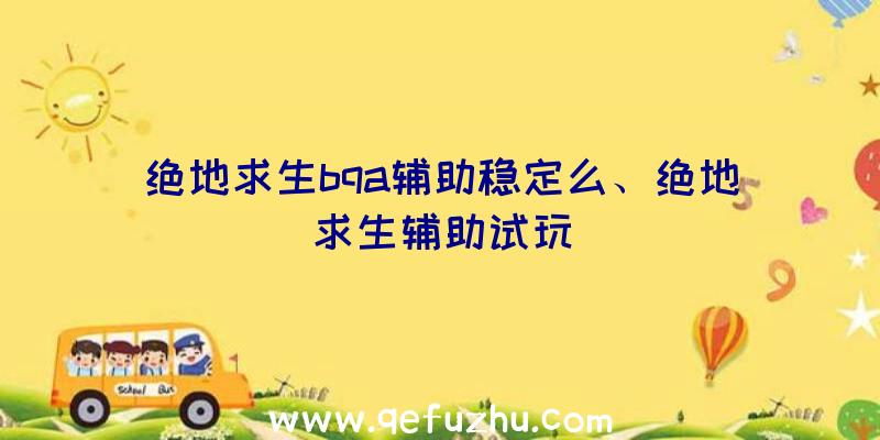 绝地求生bqa辅助稳定么、绝地求生辅助试玩