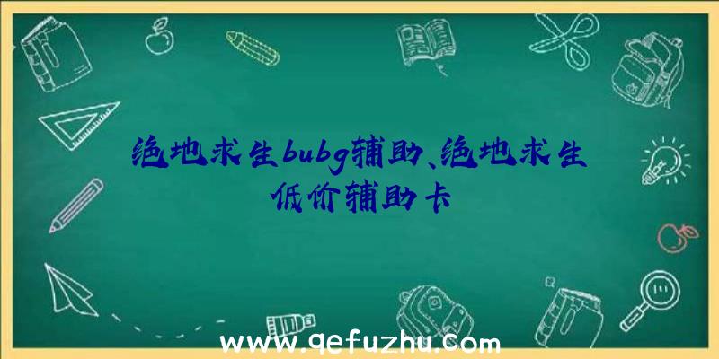 绝地求生bubg辅助、绝地求生低价辅助卡