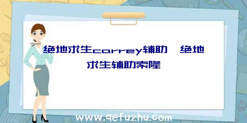 绝地求生carrey辅助、绝地求生辅助索隆