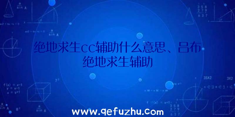 绝地求生cc辅助什么意思、吕布绝地求生辅助