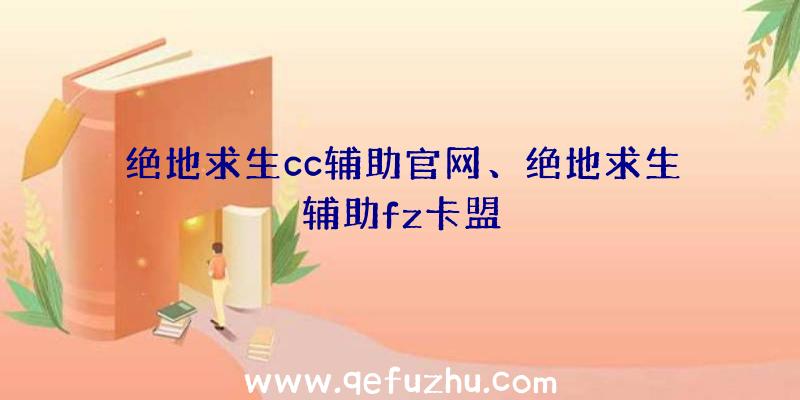 绝地求生cc辅助官网、绝地求生辅助fz卡盟