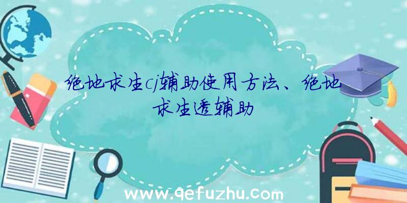 绝地求生cj辅助使用方法、绝地求生透辅助