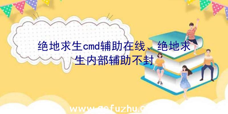 绝地求生cmd辅助在线、绝地求生内部辅助不封