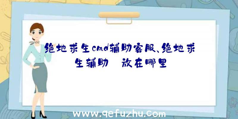 绝地求生cmd辅助客服、绝地求生辅助