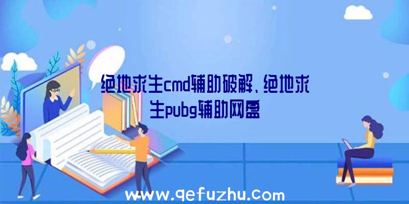 绝地求生cmd辅助破解、绝地求生pubg辅助网盘