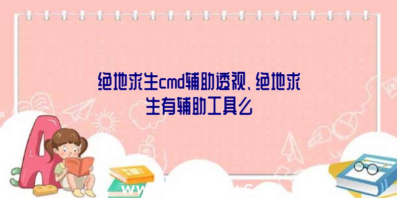 绝地求生cmd辅助透视、绝地求生有辅助工具么