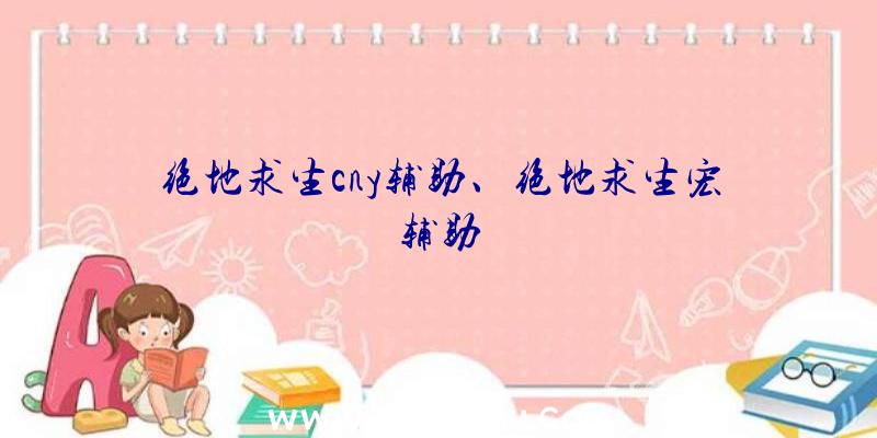 绝地求生cny辅助、绝地求生宏辅助