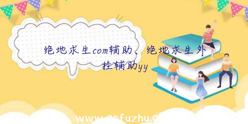 绝地求生com辅助、绝地求生外挂辅助yy