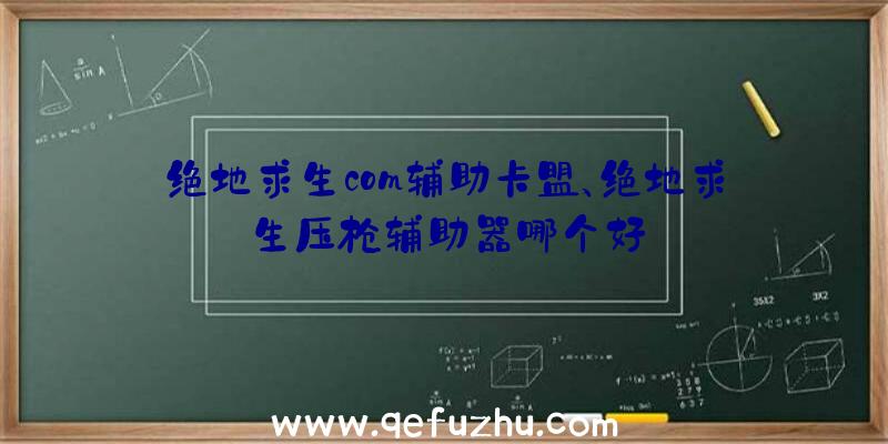 绝地求生com辅助卡盟、绝地求生压枪辅助器哪个好